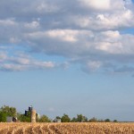 Field Corn & Winter Wheat Update-April 27