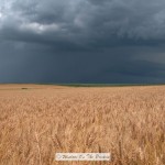 Stormy Skies