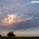 Summer Skies