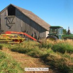 Mowing Hay