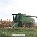 Field Corn Harvest