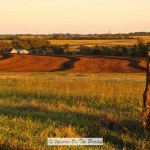 Evening On The Prairie