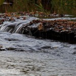 A Little Waterfall On Terrapin Creek