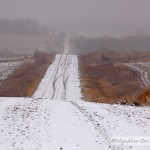 Snowy Backroads
