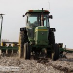 Field Corn Planting Time
