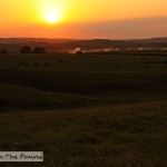 Prairie Sunset