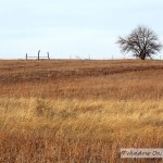 Santa Fe Trail