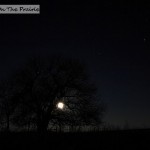 Winter Moon