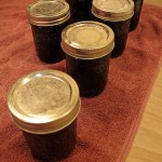 Elderberry Jelly
