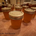 How To Make Apple Jelly