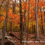 Scenes Of Fall In Arkansas