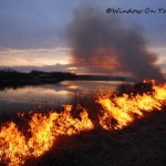 Video of Controlled Burn 
