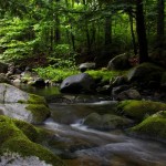 New England Vacation – Day 7