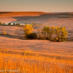 Fall Morning On The Tallgrass Prairie