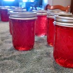 Sandhill Plum Jelly
