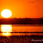 Sunset At Squaw Creek