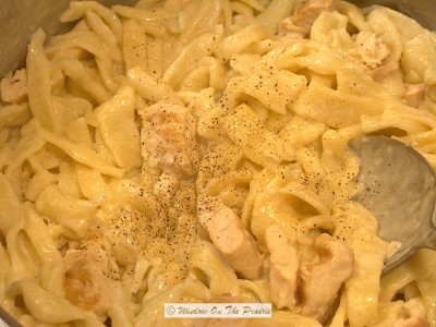 Homemade Egg Noodles – Window On The Prairie