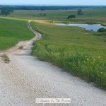 Tallgrass Prairie