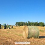 Baling Hay