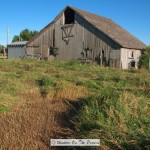 Old Barn