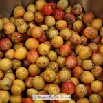 Wild Plum Jelly Experiment