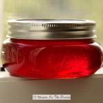 Homemade Plum Jelly