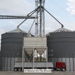 Hauling The Corn To The Elevator