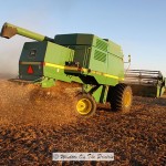 Soybean Harvest