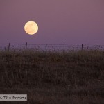 Prairie Moonrise