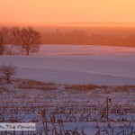 Winter Sunrise