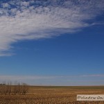 A Farmer’s Office