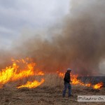 Controlled Burn