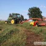 Cutting Hay