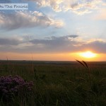 Prairie Sunrise