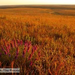 Flint Hills 360