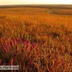 Flint Hills 360