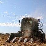 Corn Harvest Video