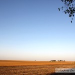 Soybean Harvest- Video One