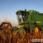 Harvesting Soybeans