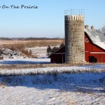 Barns In The Snow