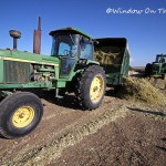 Making Silage