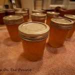 How To Make Apple Jelly