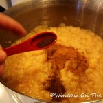 Chunky Spiced Applesauce