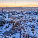The Tallgrass Prairie In Winter