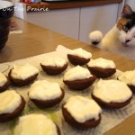 Kitty And The Whoopie Pies