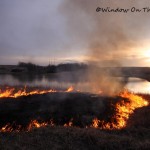 Controlled Burn 2013