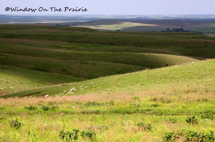 flint hills flint hills