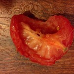 Tomato Carnage