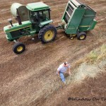 Above The Haymaking