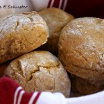 Honey Pumpkin Biscuits